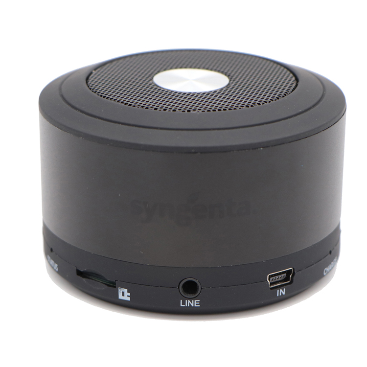 Customized promotional items Bluetooth Speaker with company logo